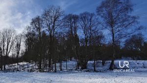 Prodej-pozemku-Horni-Hyncina