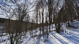 Prodej-pozemku-Horni-Hyncina