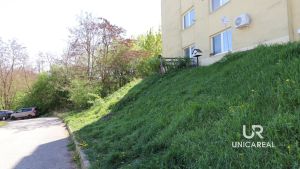 Okoli-domu-Modrice-K-lesu