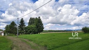 IMG_20250802_110953