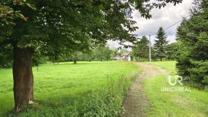 IMG_20250802_111033