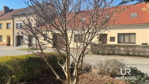 Pronajem-Kobylnice