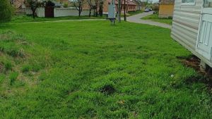 pozemek-dyjakovice