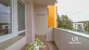 Lodzie-2